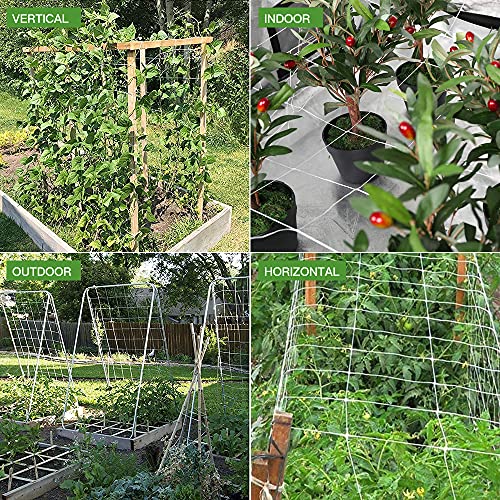 Trellis Netting, CANAGROW Heavy-Duty Garden Plant Trellis Netting for Climbing Plants, Outdoor Indoor Grow Net for Beans Tomatoes Peas Pumpkin Flowers, 6x15ft, Pack of 2 - size: 6'x15'