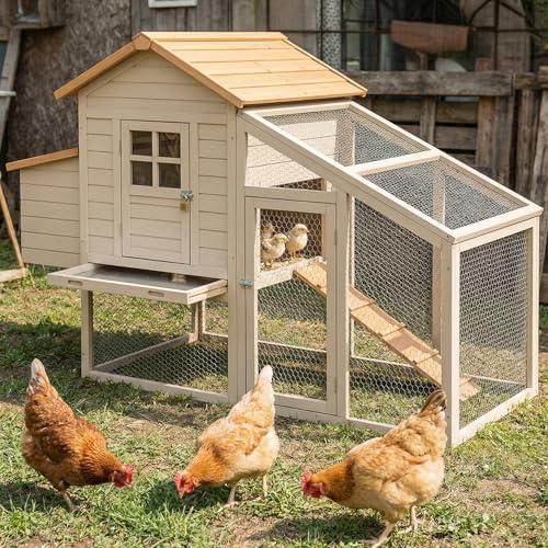 Amagabeli Chicken Wire Fencing 16in x 50ft Garden Netting Poultry Wire Hexagonal Galvanized Mesh Roll Fence Barrier for Raised Bed Cattle Panels for Plant Trellis Vegetable Dog Bird Pet Cage Craft - size: 1" 16"x50'