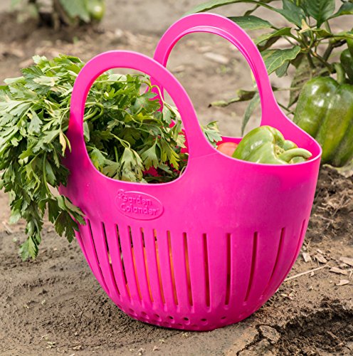 Hutzler Mini Colander garden basket, Small, Eggshell Blue - color: Eggshell Blue, size: Small
