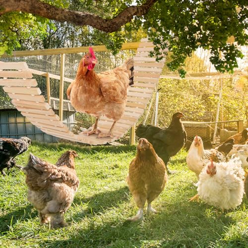 Jorewood Chicken Coop Toy Natural Wooden Chicken Swing & Bridge Toys Multi-Functional Poultry Perch with Wooden Beads (Safe for Chickens/Ducks) - color: Yellow