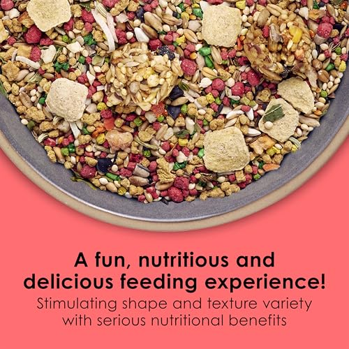 Kaytee Fiesta Parakeet Bird Food, Nutritious and Fun Blend, Supports Skin, Feather, Digestion, Brain and Heart Health, Bird Seed Mix, 2 Pounds - size: 2 Pound (Pack of 1)