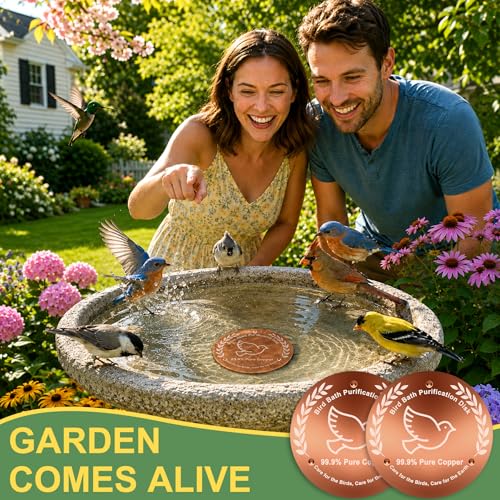 Bird Bath Copper Disk 2 Pack, 99.99% Pure Copper Bird Bath Cleaner with Triple-Point Support, 4 Inch Thick Chemical-Free Natural Water Cleaner for Outdoor BirdBaths, Bowls, All-Season Use - color: 2 Pack