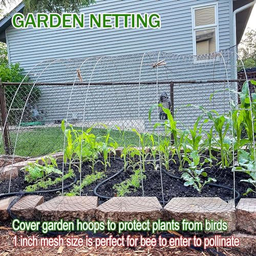 Anti-Bird Netting for Garden Chicken Coops - 1" Mesh Garden Netting Over Garden Hoops, Poultry Roof Netting, 25x50 ft Black Netting for Blueberry Bushes, Fruit Trees, Plants Against Squirrels - size: 1", 25' x 50'