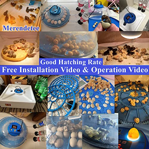 26-52 Eggs Automatic Incubator | Upgrade Automatic Water Adding, 360 Degree View, Egg Turner, Temperature Control, Egg Candler