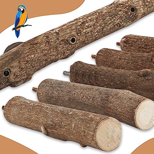 Parrot Wood Stand, Parrots Perch for Cage, Natural Bird Ladder | for Small Medium Parrot, Parakeets, Cockatiels, Conures, Hamster(12.2 inch)