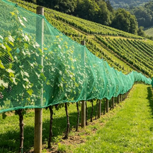 Jollybower Bird Netting for Garden 13x20ft, Plastic Trellis Netting to Protect Vegetable Plants & Fruit Trees, Reusable Garden Net Against Birds, Deer, Squirrels. - size: 13x20FT