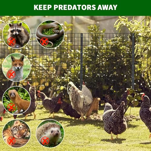 Garvee 1/2inch 72inx100ft 19 Gauge, Chicken Wire Fence Wire Mesh Fence Galvanized Steel Poultry Netting Garden Fence Tree Guard Wire Fence Rolls Hardware Cloth for Yard Vegetable Plant Protection