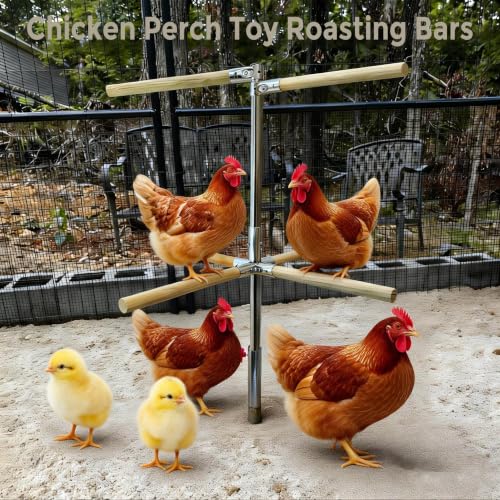 Chicken Perch Toy for Coop - Adjustable Chicken Roosting Bars | Roosting Bars for Chickens in Coop (6pcs) - Chicken Perch Run with 3-Prong Ground Plug, Chicken Roost Perch for 4-7 Chickens - size: H=61.2inches