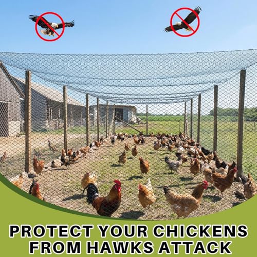 25 x 25 ft Aviary Bird Netting Chicken Netting Commercial Grade Heavy Duty Knotted 2 inch Mesh for Chicken Coops Poultry Blueberries Fruit Trees Net Aviary Garden - size: 25 x 25ft, 2 inches