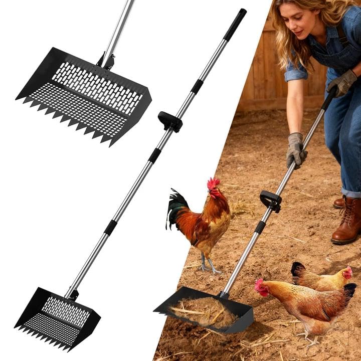 Chicken Poop Scooper & Rake 2-in-1 – 12 Inch Shovel Head & 3-Angle Adjustable Stainless Steel Handle, Chicken Litter Scoop and Coop Rake & Sand Sifting Shovel for Chicken Coops, Black - color: Black