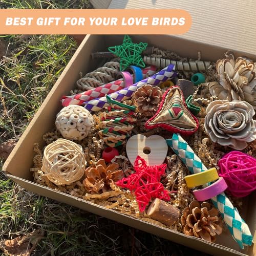 Bird Foraging & Bird Shredding Toys Box,Natural Chewing and Foraging Toys for Cockatiels,Parakeets,Conures,Love Birds & Small to Medium Parrots - size: Large