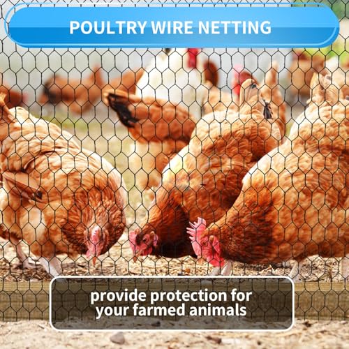 24'' x 150' Black Chicken Wire Mesh Fence, 19 Gauge Galvanized Poultry Netting and 1 inch Garden Mesh Fence Roll, Chicken Wire for Floral Arrangements/Crafts/Farm/Livestock/Pet Protection - size: 19 gauge 24'' x 150'