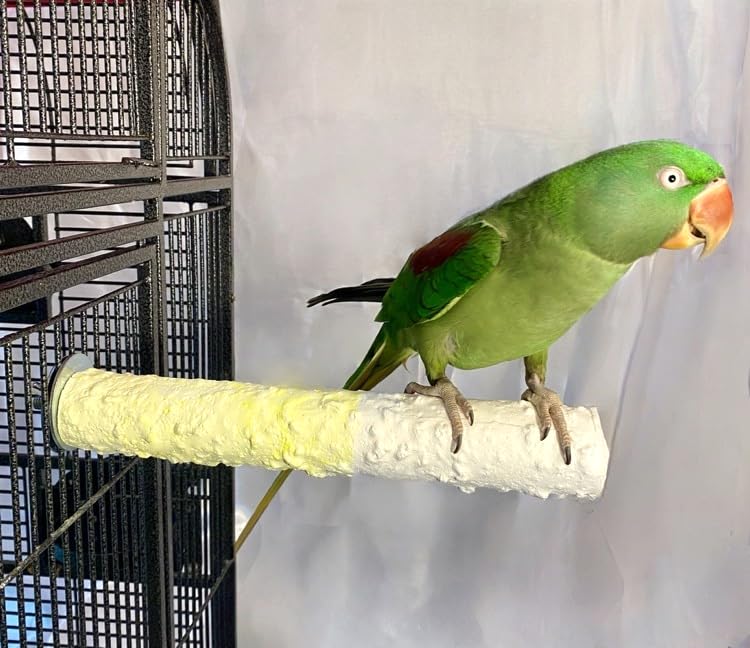 Polly's Edible Cuttlebone Calcium Bird Cage Perch for Budgies, Parakeets, Amazons, Blue & Golds, Macaws and Cockatoos.… (Pineapple, Large) - color: Pineapple, size: Large