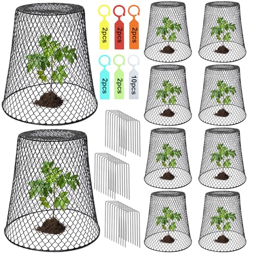 10 Pcs 9.13"×9.13" Chicken Wire Cloche Plant Covers Garden Netting Metal Heavy Duty Plant Protectors from Animals for Keeping Bunnies Chicken Squirrels Birds Other Out