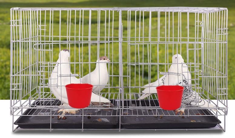40 Pack Cage Cups Birds Feeders Seed Bowl Chicken Feeding Watering Dish Rabbit Water Food Hanging Wire Cages Box 8oz Coop Cups for Pet Parrot Parakeet Gamefowl Poultry Pigeon (Red) - size: 40PCS Red
