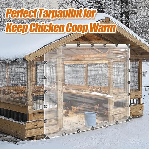 10x10ft Anti-Tear Clear Tarp Waterproof - 2pcs Windproof Poly Tarpaulin, Heavy Duty Transparent Enclosure with Grommets for Covering Chicken Coops Greenhouse Garden Plants - size: 10x10ft