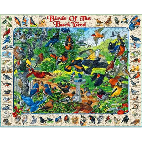 White Mountain Puzzles Birds of the Backyard - 1000 Piece Jigsaw Puzzle | Large Pieces, Gift for Adults and Family, 24"x30" in, Colorful Spring Bird Collage