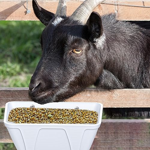 mozoba Hanging Chicken Feeder Trough for Goat Sheep Deer Poultry Duck Chicken Fence Feeder Livestock Feeding Container Goats Supplies Feeders Waterer Bucket (White) - color: White