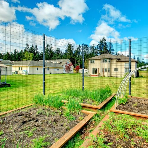 4ft x 50ft Black Vinyl Coated Welded Wire Fence | Heavy Duty Garden Fencing, Chicken Coop Poultry Run, Dog Fence & Garden Protector for Vegetables - size: 4 ft X 50 ft