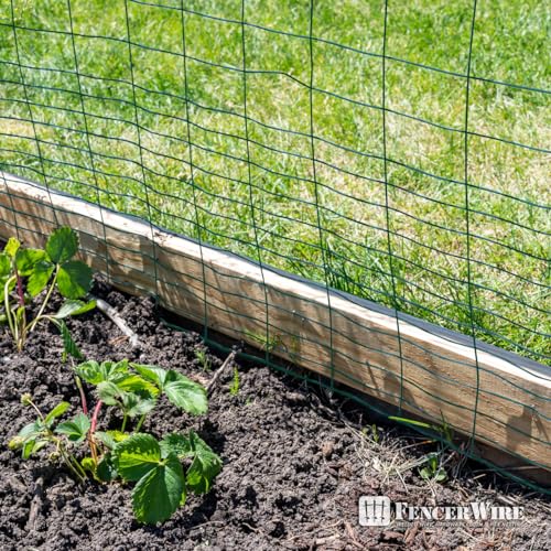 Fencer Wire Green Vinyl Coated 16 Gauge Rabbit Guard Fence, Poultry Outdoor Fencing Barrier Wire Roll for Garden Yard, Protecting Against Rabbits, and Other Small Animals Damage (24 in. x 50 ft.) - size: 24 in. x 50 ft., style: Green Vinyl Coated