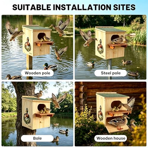 Large Wood Duck House – Weatherproof Roof, Duck Perch Platform | Duck nesting box for yards, ponds, wetlands. Predator-proof entrance, duckling ladder, easy-clean. Fits trees, posts, walls.
