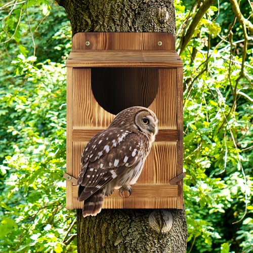 Owl House, Barn Owl Nesting Box with Bird Stand and Wood Shavings, Large Wooden Screech Nesting Box for Outside, Nest Box for Wild Birds, Barn, Screech, Eagle, 1 Set