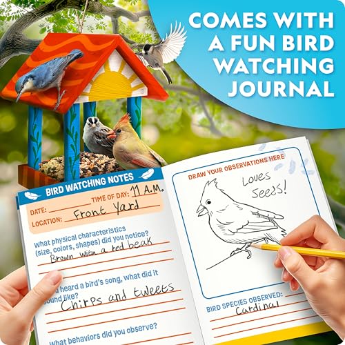 National Geographic Build Your Own Bird Feeder Craft Kit for Kids | DIY Wooden Bird Feeder, Paints and Brush, Bird-Watching Journal, Educational Poster, Outdoor Nature Craft, Birthday Gift - style: DIY Bird Feeder