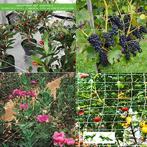3.5in Mesh Trellis Netting, 5x60ft, 1 Pack | Polyester mesh netting for vine crops & plants; Suitable for garden garden applications - size: 3.5" Mesh (5'X60')