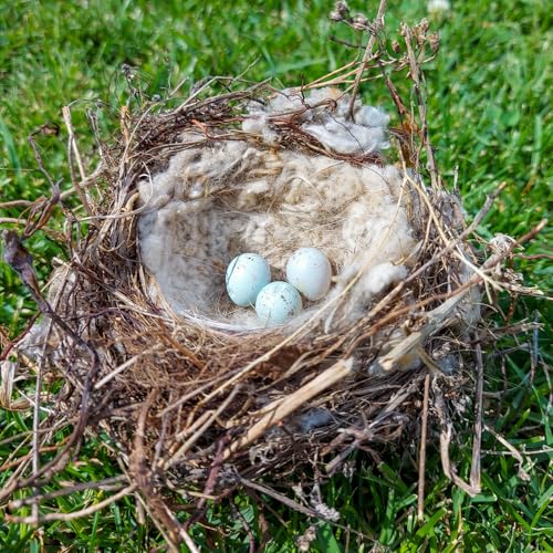 Nuanchu 3 Pcs Bird Nest Material Bird Nest Refill Material Hummingbird Nest House Gift Design Bird Nest Material for Bird Lovers, Winter Bird Bedding Gifts in Outdoor Indoor Patio (Nest Not Included)