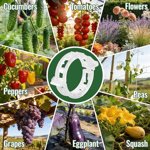 300Pcs Thickened Tomato Clips, Plant Support Clips Plastic Trellis Clips | Plant Clips for Grape Vine, Tomato Vine, Vegetable Plants, to Grow Upright Makes Plants Healthier, White - color: White