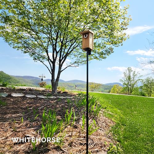 WHITEHORSE Bird House Pole Mount- A Professional Bird Feeder Pole for Outside - Very Sturdy Against Strong Winds - 7’ Tall Bird House Poles for Outdoors - Pole for Bird Feeders - Bluebird House Pole - style: Mounting Pole