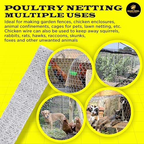 Chicken Wire 24 in x 25 FT x 2” Mesh x 20GA | Poultry Wire Netting | Hot Dipped Galvanised | Hexagonal Galvanized Mesh for Chicken Coop, Rabbit Cage, Fence Barrier PM24x25x2 - style: 24 in x 25 FT x 2 in