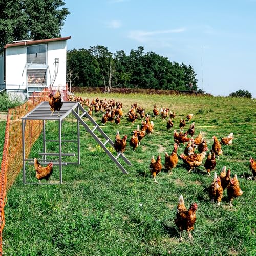 Sunexinlo Chicken Perch with Swing Set, Roosting Bars for Chickens in Coop for Pet Chickens' Health and Happiness, Metal Chicken Toys Accessories for Backyard Farms, Gray