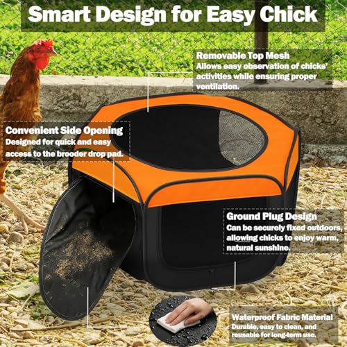 Brooder Box for Chicks, Starter Kit Pop-Up Chicken Brooder Playpen with Double Doors, Collapsible Chick Pen for Indoor Outdoor Use, Up to 20 Baby Chicks, Ducks & Quail