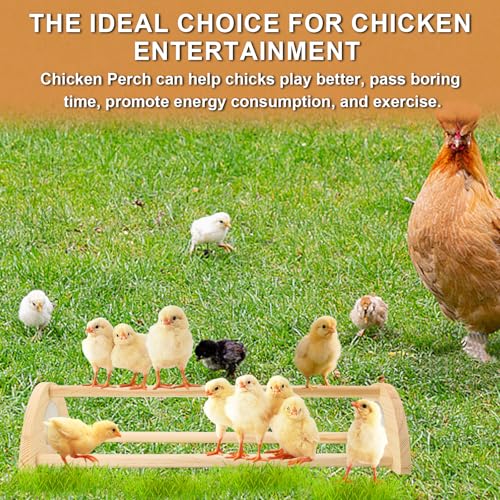 Chicken Perch with Mirror Roosting Barfor Baby Chicks | Chick Jungle Gym Roosting Bar Strong Wooden Baby Chick Perches Outdoor Use, Easy Installation
