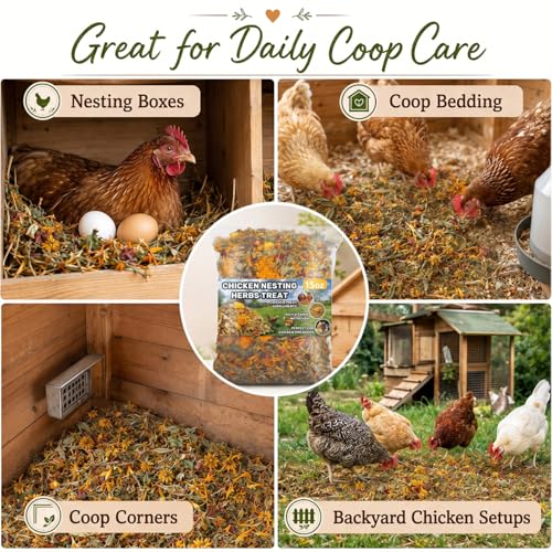 MAQIHAN 20oz Chicken Nesting Herbs - Dried Poultry Herbs for Coop Boxes | Natural Bedding Decor for Hens, Ducks, Laying Areas, Box Pads, Habitat Refresher, Winter Supplies, Vacuum Packed - size: 1.25 Pound (Pack of 1)