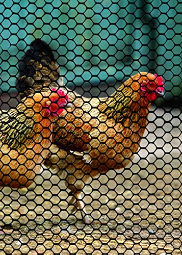 Tenax 72120548 Poultry Fence, 2' x 25', Black - color: Black, size: 2-ft x 25-ft