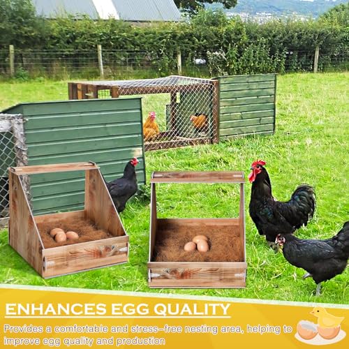 Teenyyou Plastic Chicken Nesting Box with 3 Nesting Pads and 4 Wooden Fake Egg for Laying Eggs Plastic Hen Nest Box Chicken Coop Laying Boxes for Hen Duck Poultry