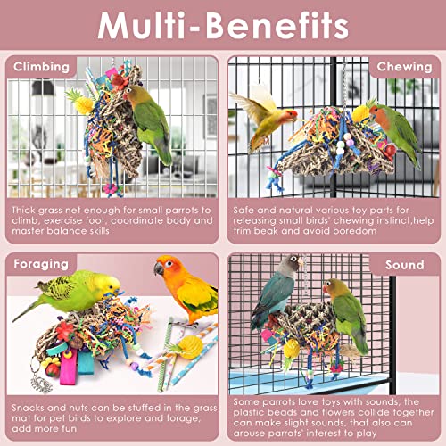 KATUMO Bird Toys, Seagrass Basket Toy with Array of Chewable Parrot Foraging for Small Medium Parrot Birds - style: Pineapple