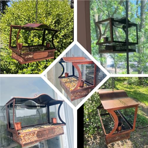 Window Bird Feeder, Metal Window Bird Feeder with 4 Strong Suction Cups, Wild Bird Feeders for Outdoors Hanging, Removable Tray with 2 Water Cups, Easy Clean and Fill