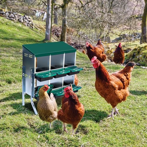 Chicken Nesting Box，Green 6 Hole Chicken Laying Box with Bracket, Tray for Egg Collection, Large Holes for Ventilation, Suitable for Chickens & Ducks - color: Green, size: 31.9"L x 20.5"W x 37.4"H