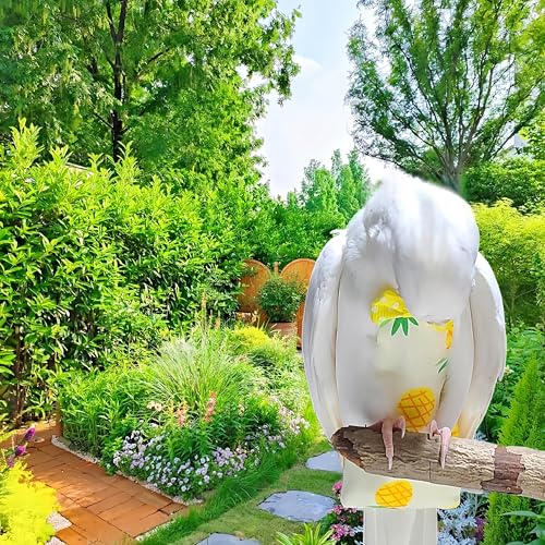 2 Pcs Bird Diapers Bird Harness Flight Suits Diapers with 80in Flying Leash Reusable Parrot Nappy with Waterproof Inner Layer for Cockatiel Budgie Conure Parakeet Lovebird-Apple&Pineapple