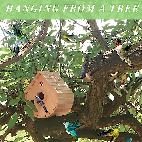 Wooden Bird House for Outside，3Holes Bird House for Bluebird Cardinals Wren Swallow, Hangding Birdhouse in Garder/Balcony/Courtyard (Wood Color) - color: Wood