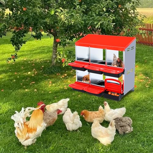 Chicken Nesting Box，Red 6 Hole Chicken Laying Box, Tray for Easy Egg Collection, Large Holes for Ventilation, Suitable for Chickens & Ducks - color: Red, size: 31.9"L x 20.5"W x 31.1"H