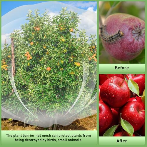 2PCS Large Fruit Tree Netting with Drawstring and Zipper, 6 x 6.6FT Blueberry Bush Netting Cover, Garden Bird Netting Plant Cover for Protect Plant Fruit Flower from Birds, Bugs, Cicadas, Insects - color: 2pcs-6.6x6ft