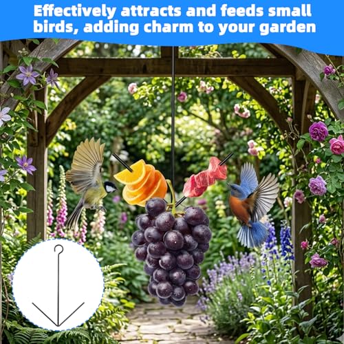 Black Oriole Feeder for Outdoors, Hanging Fruit Holder | Black hanging metal feeder holds oranges, jelly or fruit to attract orioles to gardens, patios and backyards; easy to refill