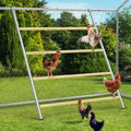 Chicken Coop Roosting Perch,Perfect for Backyard Poultry,Chicken Perch Essentials,Easy to Assemble&Clean,Farm Chicken Toys (56" L x 41.5" W) - size: 56" L*41" W-1pcs