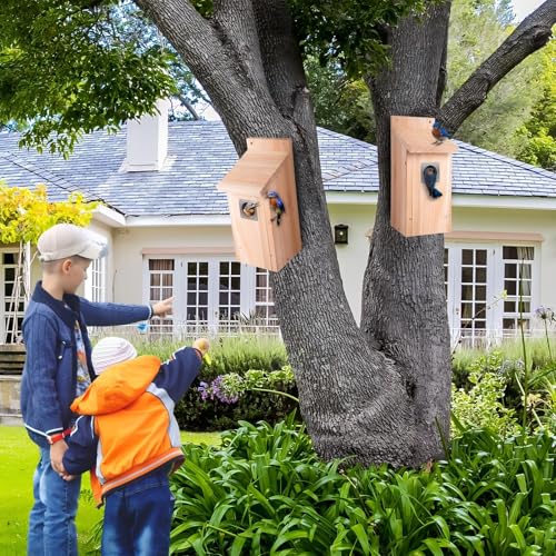 Dreyoo 2 Pack Bluebird Box Houses for Outside,1-1/2'' Entrance Hole Wooden Bird Houses with Metal Guard, Secure Latch,Fledgling Grooves,Air Vents for Bluebird Wren Swallow(Wood) - color: Wood