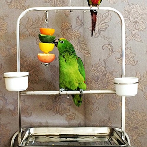 Honbay 2pcs Parrot Bird Rabbit Hutch Cage Fruit Vegetable Holder Skewer Foraging Toy Animal Treating Tool (S) - size: S