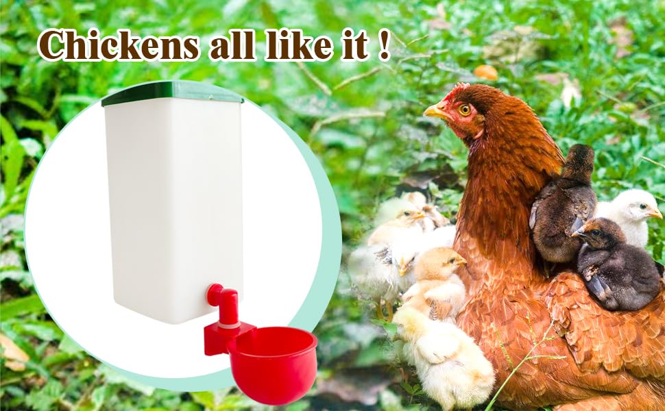 2pcs Automatic Waterer System Chick Drinker Cups 1L Hanging Automatic Fill Poultry Watering Cup Used for Cages (2)